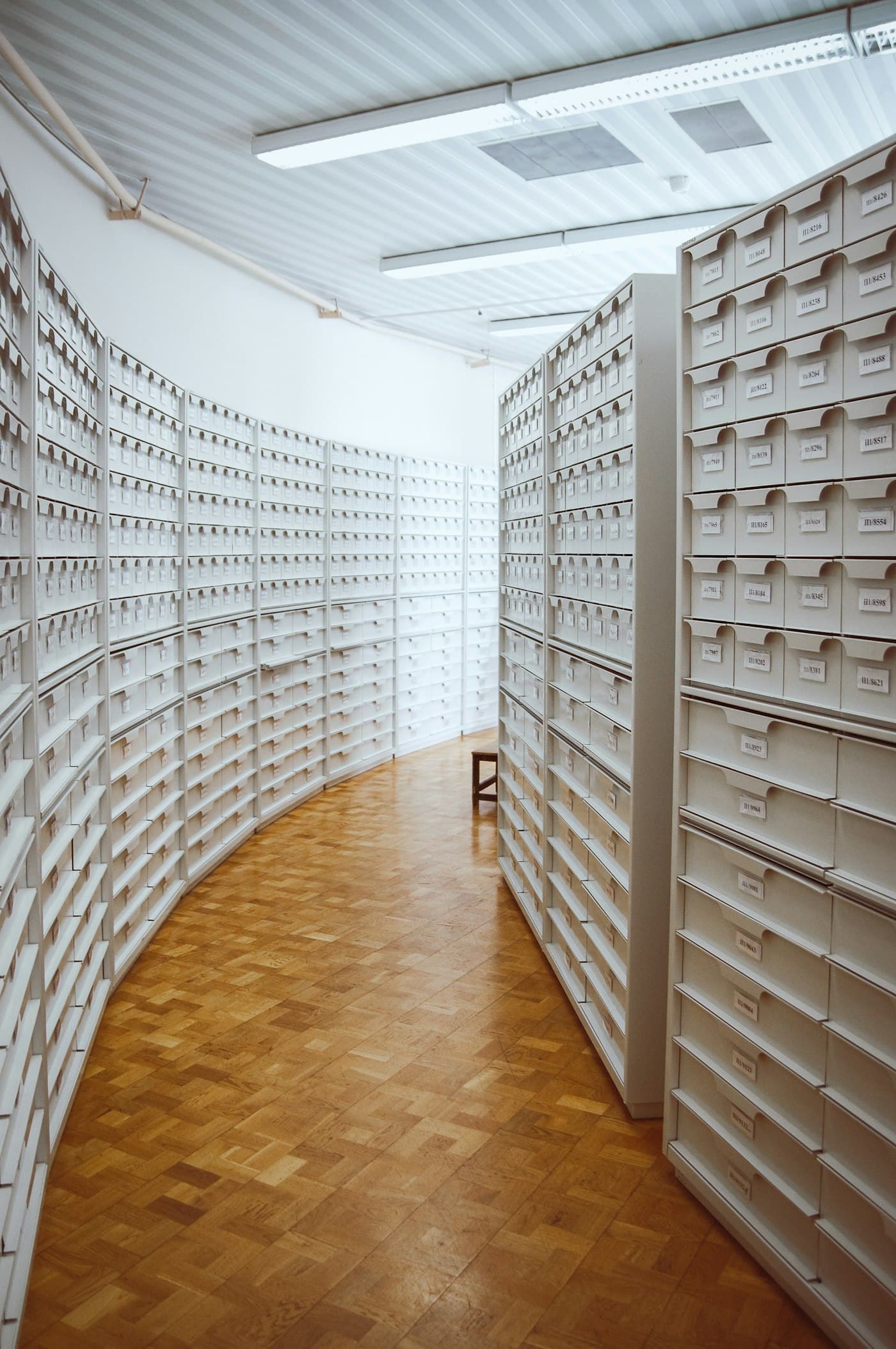 Archivraum mit einer geschwungenen Regalwand aus beschrifteten Ablagekästen